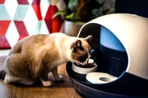atspad helps keep cats happy and healthy, even when life gets busy. Armed with only a smartphone and a Catspad,you can monitor your cats’ health no matter where you are, set times throughout the day to feedthemand activate the fresh water fountain. 